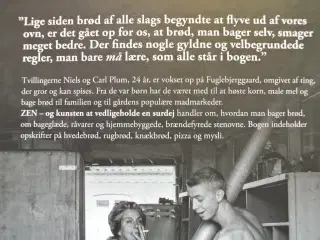 zen - og kunsten at vedligeholde en surdej , af ni