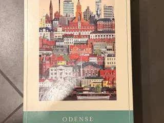 Odense 1000 brikker puslespil