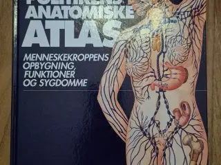 Politikens Anatomiske Atlas 