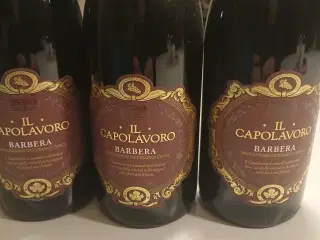 Rødvin Il Capolavoro Barbera