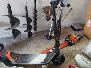 Segway Kickscooter P65I 