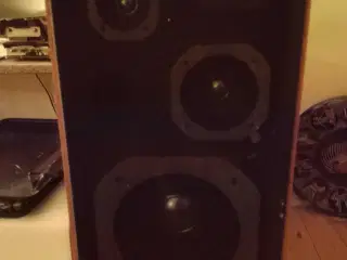 DAN SOUND Højtalere ESX-90