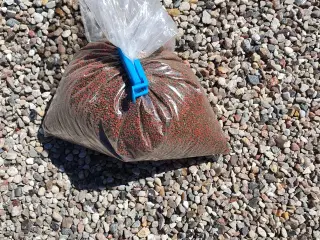 cichlide granulat foder til akvarie fisk