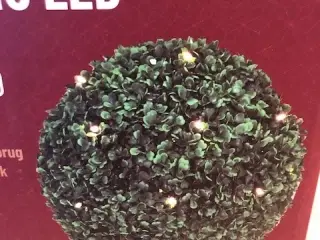 2 stk. Buksbom 40 LED (stor)