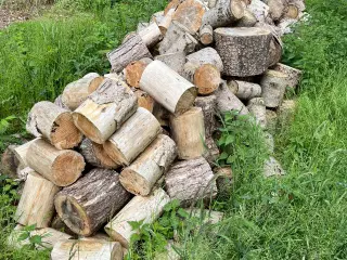 Brænde / træ 
