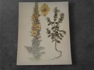 Botaniske papirark med elegance og dybde til hobby