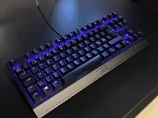 Razer Blackwidow V3 Tenkeyless