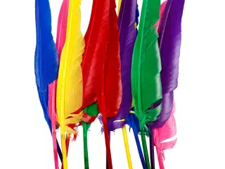 Assorterede Gåsefjer 27 cm - 12 stk. i Farver