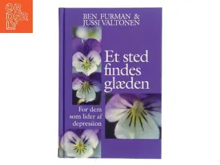 Et sted findes glæden af Ben Furman (Bog)