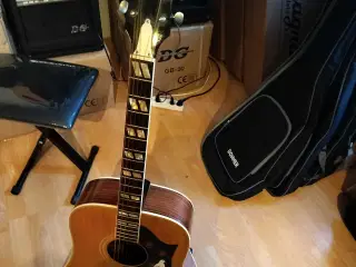 Pearl Western Guitar for Samleren