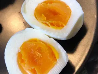 Friske æg
