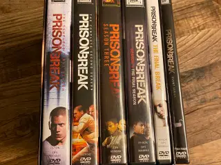 Prison Break - DVD-box komplet serie!