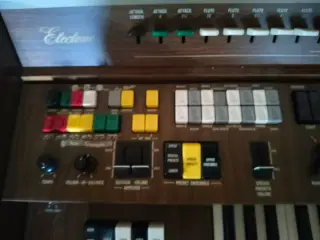 El Orgel Tamaha B75
