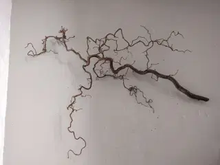 Troldegren