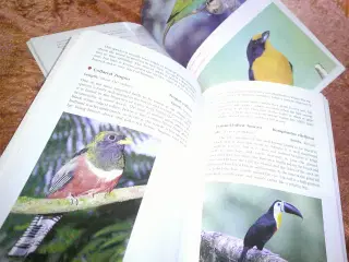 Birds of Trinidad and Tobago,  Richard French,