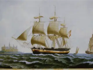 Grunde, Rev og Flak, Svend Albrechtsen