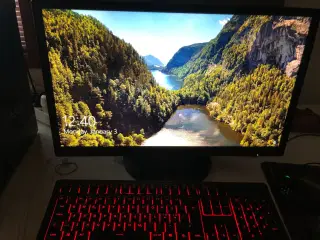 Skærm og tastatur 