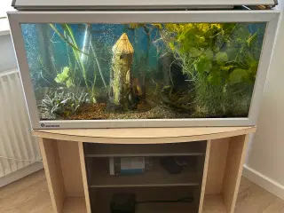 Akvarium med tumbler 