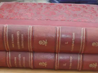 Socialdemokrativets Aarhundrede 1904