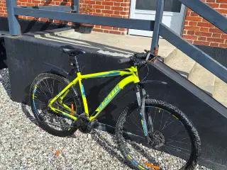 Busetto PRO 29"