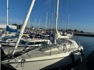 MAXI 84 årg. 1980