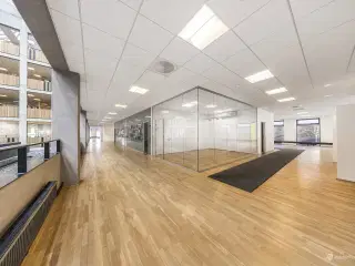 1.816 m² kontor med plads til medarbejdertrivsel