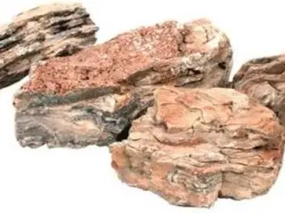 Blandet akvariedekoration