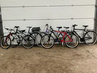  5 cykler sælges samlet