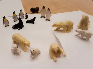 Pingviner, Søløver, Isbjørne m.m.