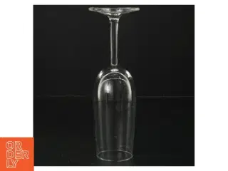 Champagneglas