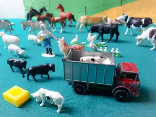 Dyr, Bil og Bøger