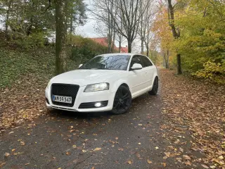 Audi A3 8P Facelift ( Fuld Service bog )