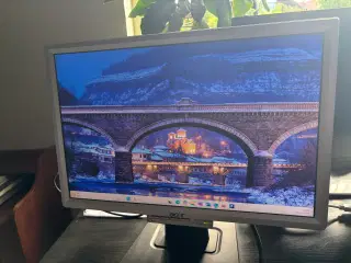 Acer AL1916W 19” computerskærm