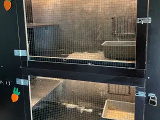 Ferie pasning af kaniner og marsvin tilbydes 