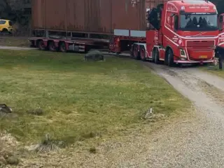 Skal væk for den 1/11 byd 8740 Brædstrup 