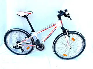 Bottecchia mountainbike 24”