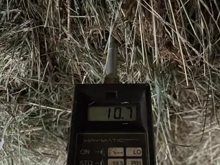 Hø i mini big