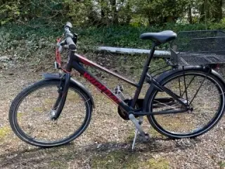 Pige cykel, billig