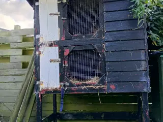 Kaninbur - udendørs