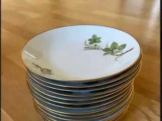 Tallerkener
