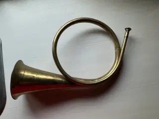 Jagthorn
