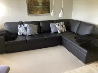 sofa