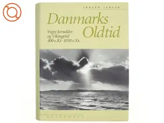 Danmarks oldtid. Stenalder 13.000-2.000 f.Kr. af Jørgen Jensen (Bog)