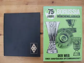 Fodbold; Borussia Mönchengladback