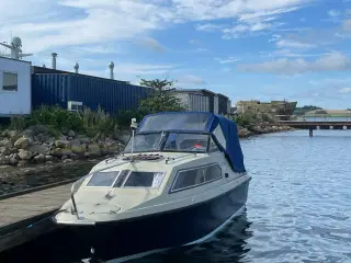 Shetland black hawk 19