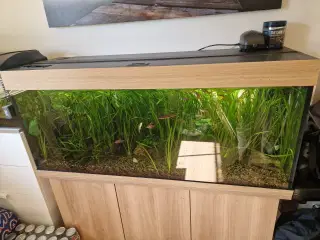 Juwel akvarie 240liter 