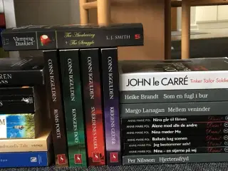 Forskellige bøger i forskellige genrer