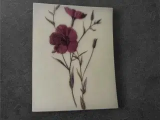 Blomsterinspireret papir til kreative projekter