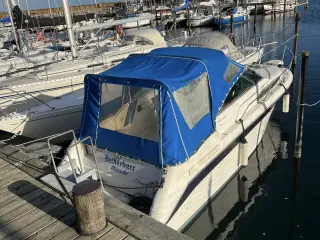 Motorbåd Sea Ray Sundanser 