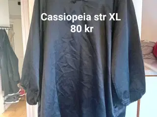 Cassiopeia str XL